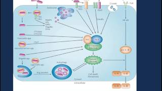 Procalcitonin Utility in the Intensive Care Unit ICU [upl. by Zasuwa]