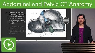 Normal Abdominal amp Pelvic CT Anatomy Algorithm – Radiology  Lecturio [upl. by Finstad]