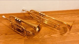 Trumpet vs Cornet  Comparison and Demonstration [upl. by Ayekim551]