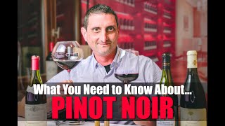 Everything You Need to Know About Pinot Noir [upl. by Puglia]