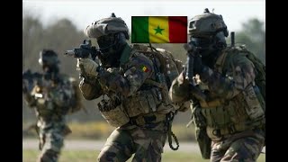 FORCES SPECIALES AIR ET TERRE IMPRESSIONANTE MANOEUVRE DE LARMEE SENEGALAISE [upl. by Nnyleimaj953]