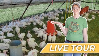 Pastured Poultry Farm Tour at Heifer Ranch [upl. by Aliab]