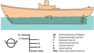 Load Lines OR Plimsoll Lines OR Water Lines [upl. by Earas301]