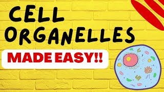 Cell Biology Cell Organelles explained in 5 minutes [upl. by Castle]