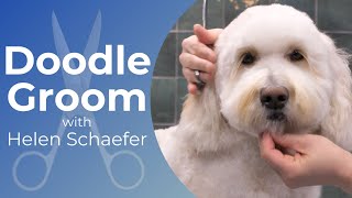 Doodle Grooming Demo with Helen Schaefer [upl. by Nallac]