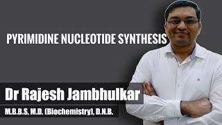 Pyrimidine nucleotide synthesis and degradation [upl. by Nevil]