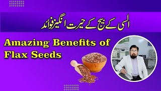 Flax seeds Alsi health benefits and nutrition facts in UrduHindi [upl. by Negam]