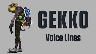 Gekko Voicelines ValorantEN [upl. by Archibold]