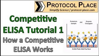 Competitive ELISA Tutorial 1 How a Competitive ELISA Works [upl. by Kotick]