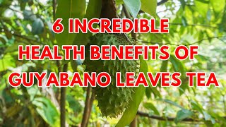 6 HEALTH BENEFITS OF GUYABANO LEAVES TEA  SideEffects  How To Make It [upl. by Akim218]