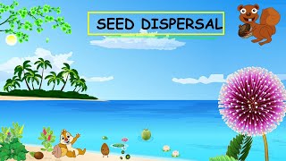 CBSE Class 5 Science Ways Of Seed Dispersal with plant names [upl. by Nerti]