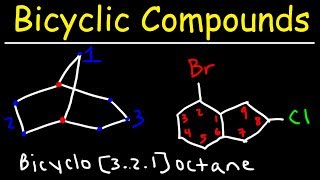 Naming Bicyclic Compounds [upl. by Jeremy]