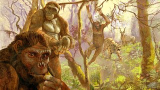 The First Hominins [upl. by Sehguh633]