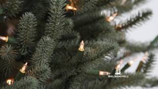 Balsam Hill™  Blue Spruce Flip Tree [upl. by Barrada]