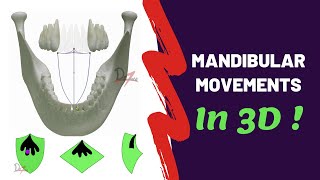 Mandibular Movements in 3D  SUPER EASY [upl. by Oaks]