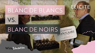 Champagne Types Blanc De Blancs Vs Blanc De Noirs [upl. by Assanav]