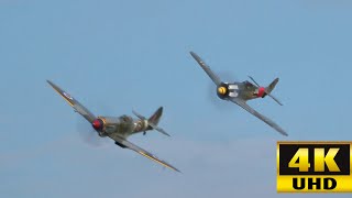 FockeWulf Fw 190 vs Spitfire  WW2 Warbird Fighters [upl. by Nohtanoj]