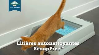 Litières autonettoyantes ScoopFree™ Original amp Ultra – Présentation des bacs automatiques [upl. by Cassidy]