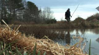 From the Field Eradicating nutria from Chesapeake Bay marshes [upl. by Vanthe]