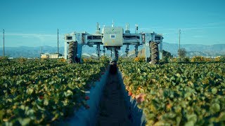 AGROBOT Robotic Strawberry Harvester [upl. by Ardnekat]