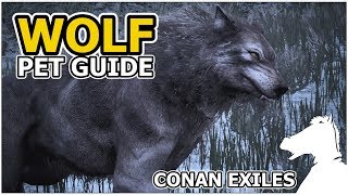 WOLF  Pets Guide  CONAN EXILES [upl. by Gretel379]