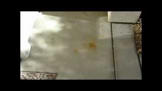 F9 BARC Rust Remover Training How to Remove Rust Stains on Concrete From Metal [upl. by Kenji]