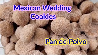 Mexican Wedding Cookies Recipe  Pan de Polvo  Hojarascas [upl. by Hertz]