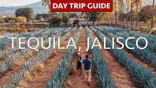 TEQUILA JALISCO  Day Trip Guide  Tequila Tours  La Alborada  Fortaleza [upl. by Natye]