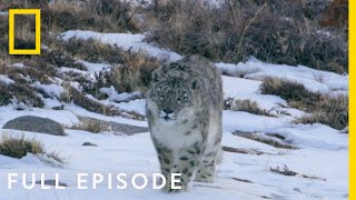 Mountains Full Episode  Hostile Planet [upl. by Welbie]