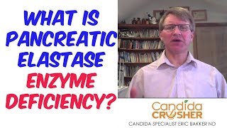 What Is Pancreatic Elastase Enzyme Deficiency [upl. by Che]