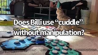 Cuddle Sans Manipulation  BilliSpeaks [upl. by Kentiga]