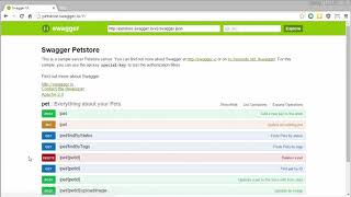 How To Use the Swagger Demo [upl. by Ynnig]
