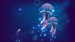 555Hz 》New Wave of Positive Energy 》Develop Radiant Aura 》Angelic Frequency Jellyfish Series [upl. by Ritch]