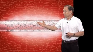 Robert S Langer MIT Part 1 Advances in Controlled Drug Release Technology An Overview [upl. by Inalaehon]