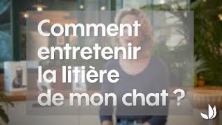 Comment entretenir la litière de mon chat   Truffaut [upl. by Adekam]