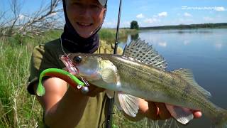 Auf Zander an der Oder  Zanderangeln im Sommer im Fluss [upl. by Anayi]