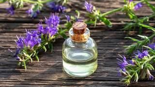 Hyssop Benefits Uses amp Side Effects [upl. by Mario]