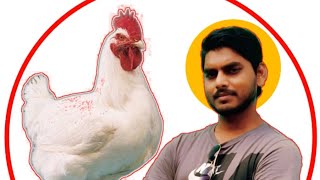 09082020  poultry Rate today  Egg Rates today  Abhishek singh poultry Rate today [upl. by Enogitna]