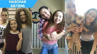 🔴 Haschak Sisters Musically Compilation 2017 Best Dance Musically [upl. by Sakul678]