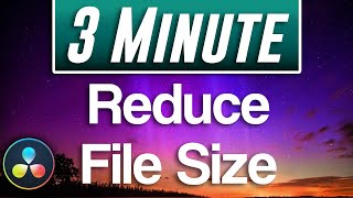 Davinci Resolve  How to Reduce File Size [upl. by Kaczer]