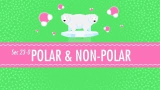 Polar amp NonPolar Molecules Crash Course Chemistry 23 [upl. by Pasol]