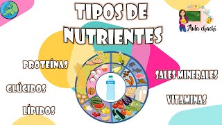 Tipos de Nutrientes  Aula chachi  Vídeos educativos para niños [upl. by Pagas]