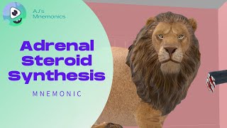 Adrenal Steroid Synthesis Pathway Mnemonic [upl. by Sualakcin807]