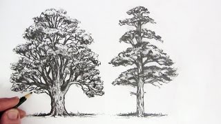 How to Draw Trees [upl. by Nnoryt]