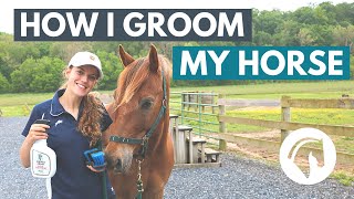 How to Groom a Horse StepByStep Guide [upl. by Anelrahc]