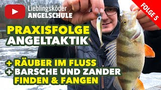 Angeltaktik erfolgreich auf Barsche und Zander angeln Staffel 1 Folge 5 [upl. by Michaeline]