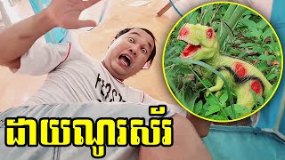 ដាយណូស័រ The dinosaur [upl. by Inaoj]