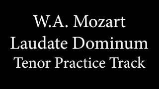 Tenor Demo  Laudate Domimum  Mozart [upl. by Notyalc]