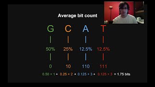 How File Compression Works The Basics [upl. by Martreb245]