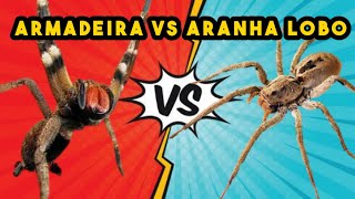 Como identificar Aranha Armadeira e Aranha de Jardim  Phoneutria vs Lycosa [upl. by Noryd]